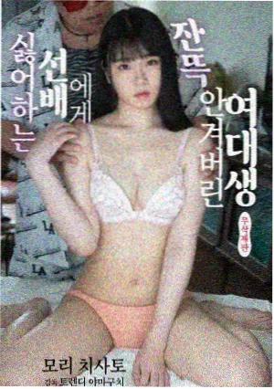 影视免费 迷雾追踪