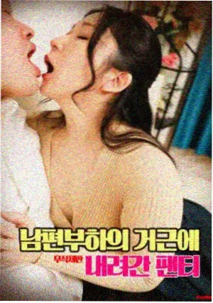 影视免费 星际穿越